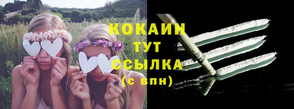 хмурый Белокуриха