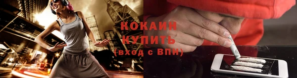 хмурый Белокуриха