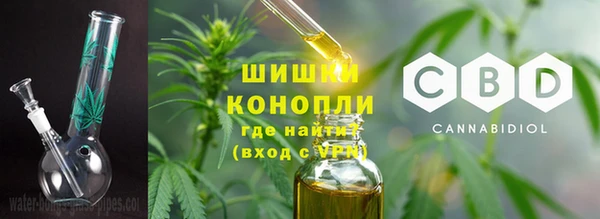 хмурый Белокуриха