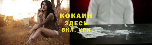 хмурый Белокуриха