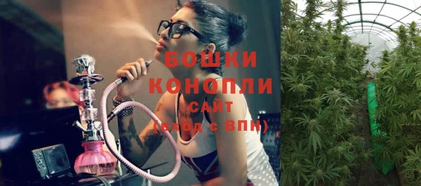 ПСИЛОЦИБИНОВЫЕ ГРИБЫ Белоозёрский
