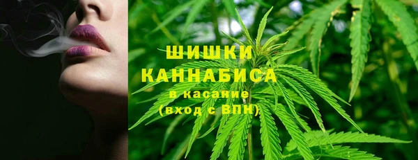 хмурый Белокуриха