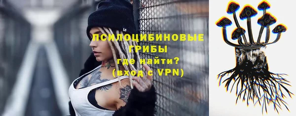 хмурый Белокуриха